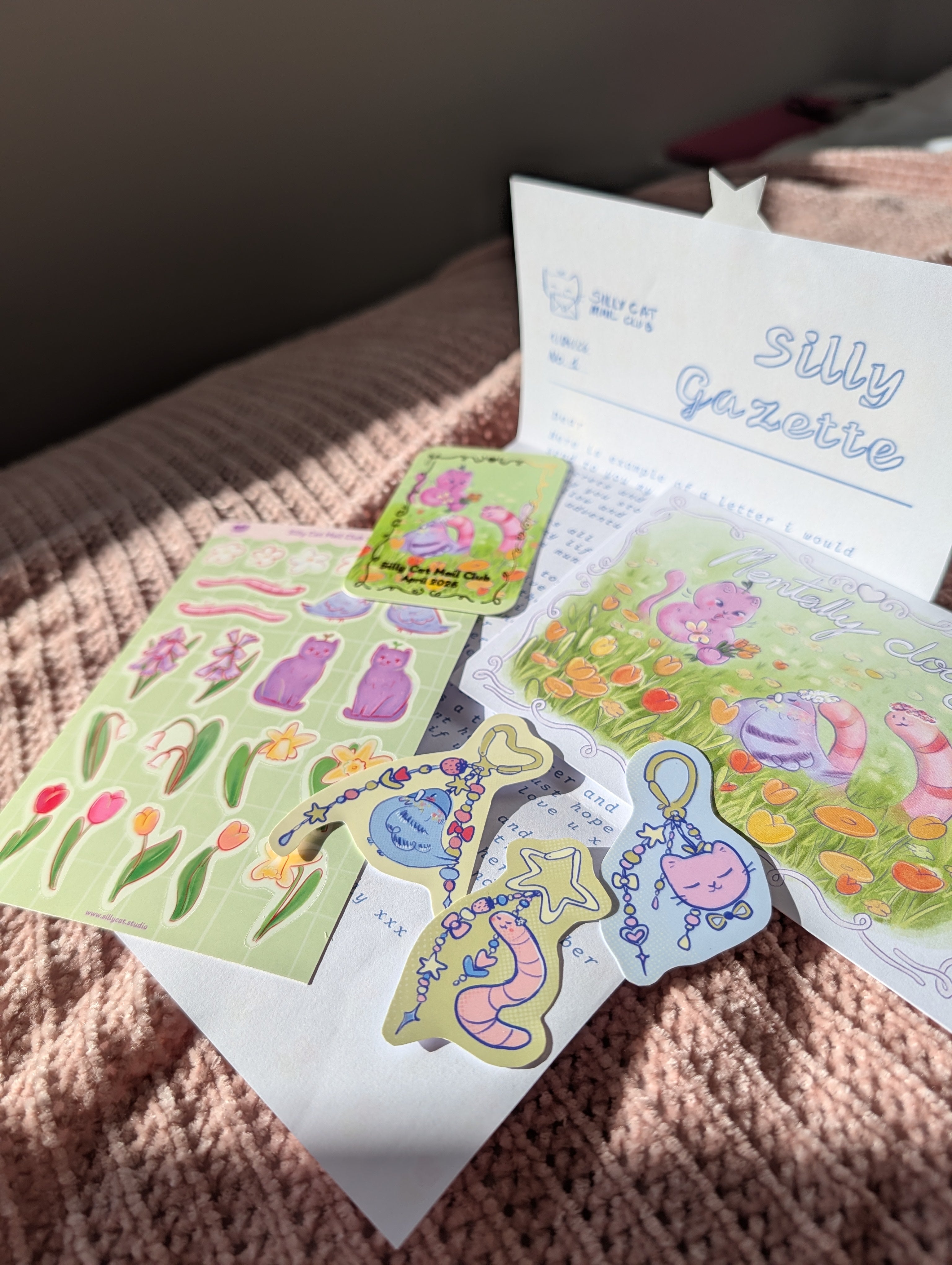 Silly Cat Mail Club 1 Month