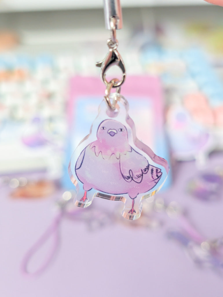 Silly Pigeon Mystery Bag